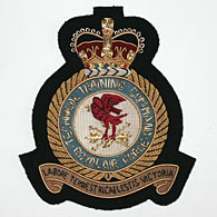 RAF Technical Training Command Wire Blazer Badge